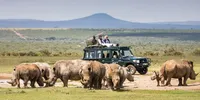 Ultimate Safari Adventure: Amboseli, NgorongoroCrater & Serengeti