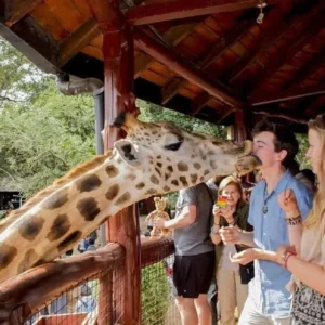 Giraffe Manor & National Park Tour