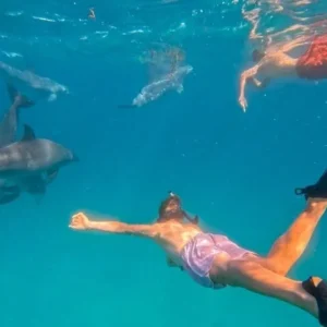 Snorkel, Dolphin & Turtle Swim Tour