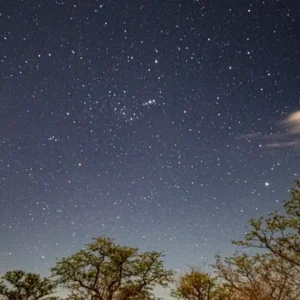 Ultimate Kenyan Safari: Rare Species and Starry Nights